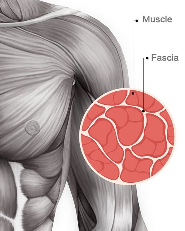 GYM MASSAGE GUN - MagnLife