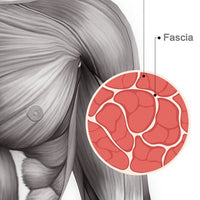 GYM MASSAGE GUN - MagnLife